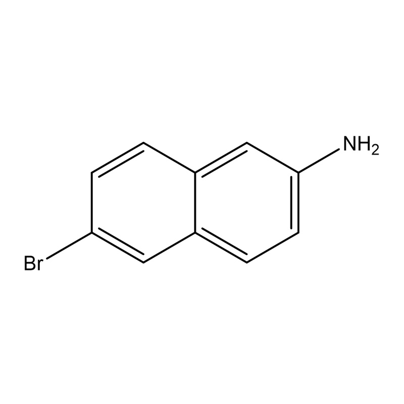 6-برومونفتالین-2-آمین